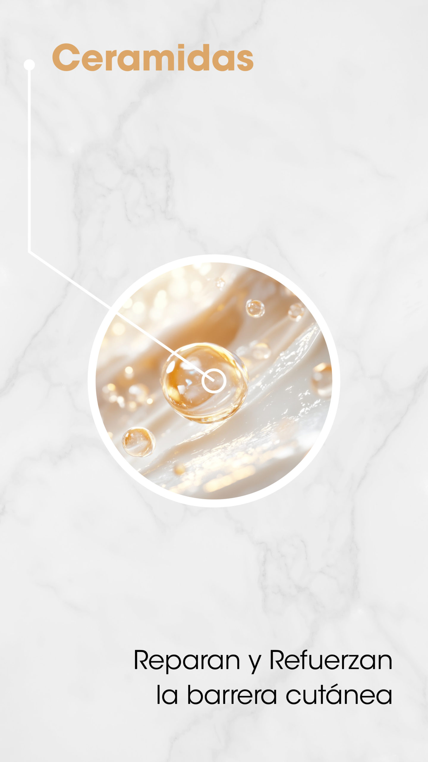 Ceramix Drops: qué hace cada ingrediente - Imagen 7